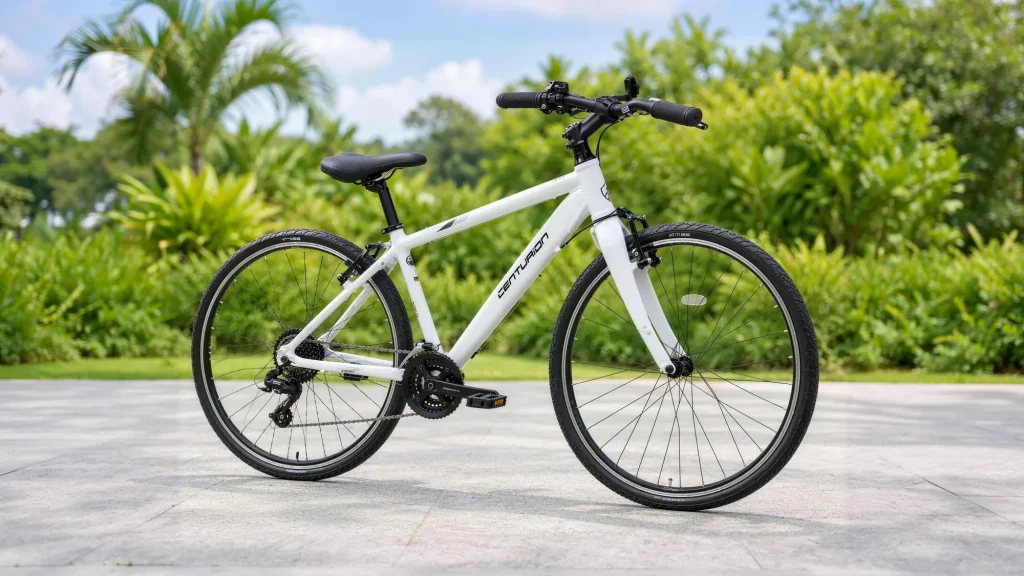 Bicicleta híbrida (alquiler de bicicletas)